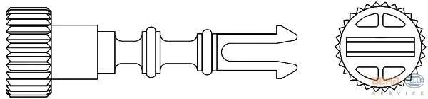 Болт, пробка радиатора