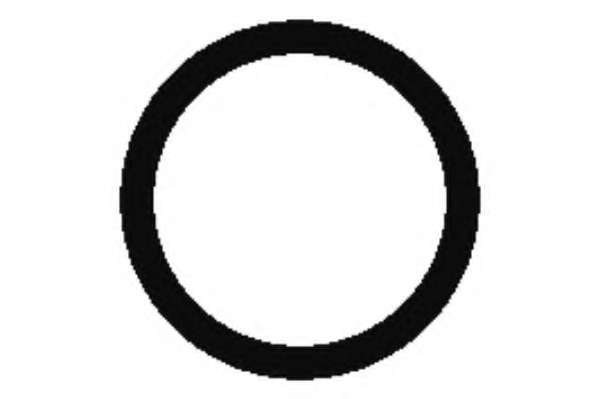 Прокладка, впускной коллектор