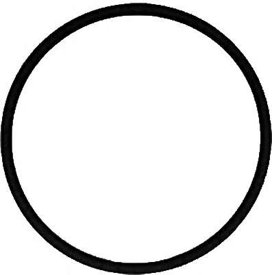 Прокладка колектора впускного Citroen Berlingo/Fiat Scudo/Peugeot Expert/Partner 1.6HDI 07-