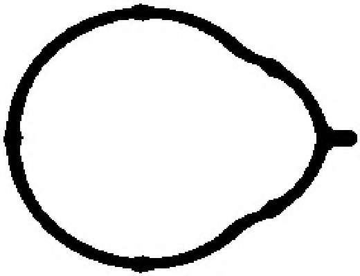 Прокладка, впускной коллектор