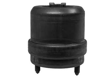 Подушка двигуна (R) VW T4 96- (гидравлика)