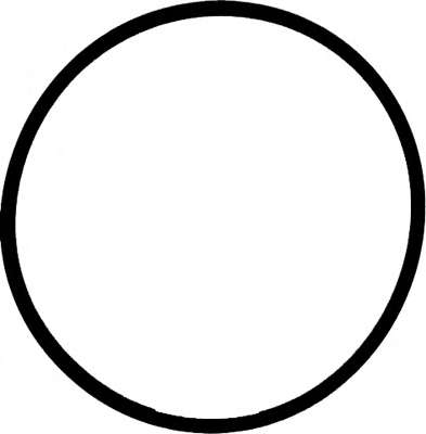 Прокладка колектора впускного Ford Fiesta 1.25/1.4 08-17