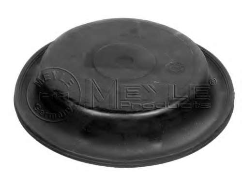 Мембрана, мембранный тормозной цилиндр