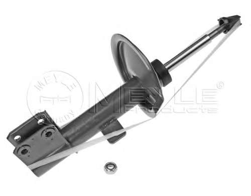 Амортизатор (передній) Citroen C4 04-/Peugeot 307 00- (L)