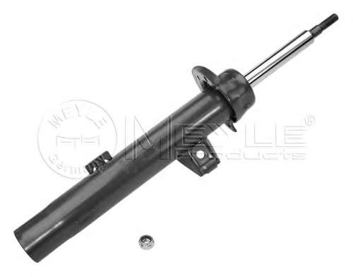 Амортизатор (передній) BMW 3 (E90/E91/E92/E93) 05-13 (R)