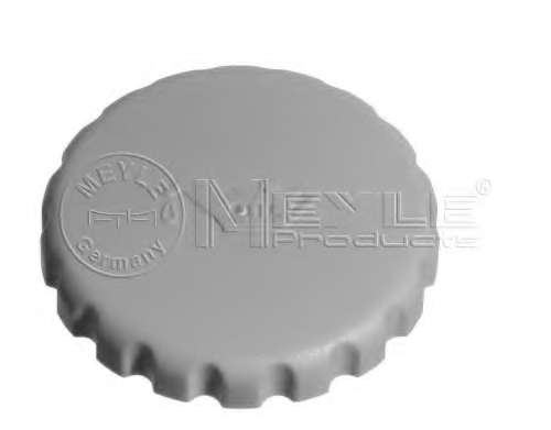 Крышка, заливная горловина