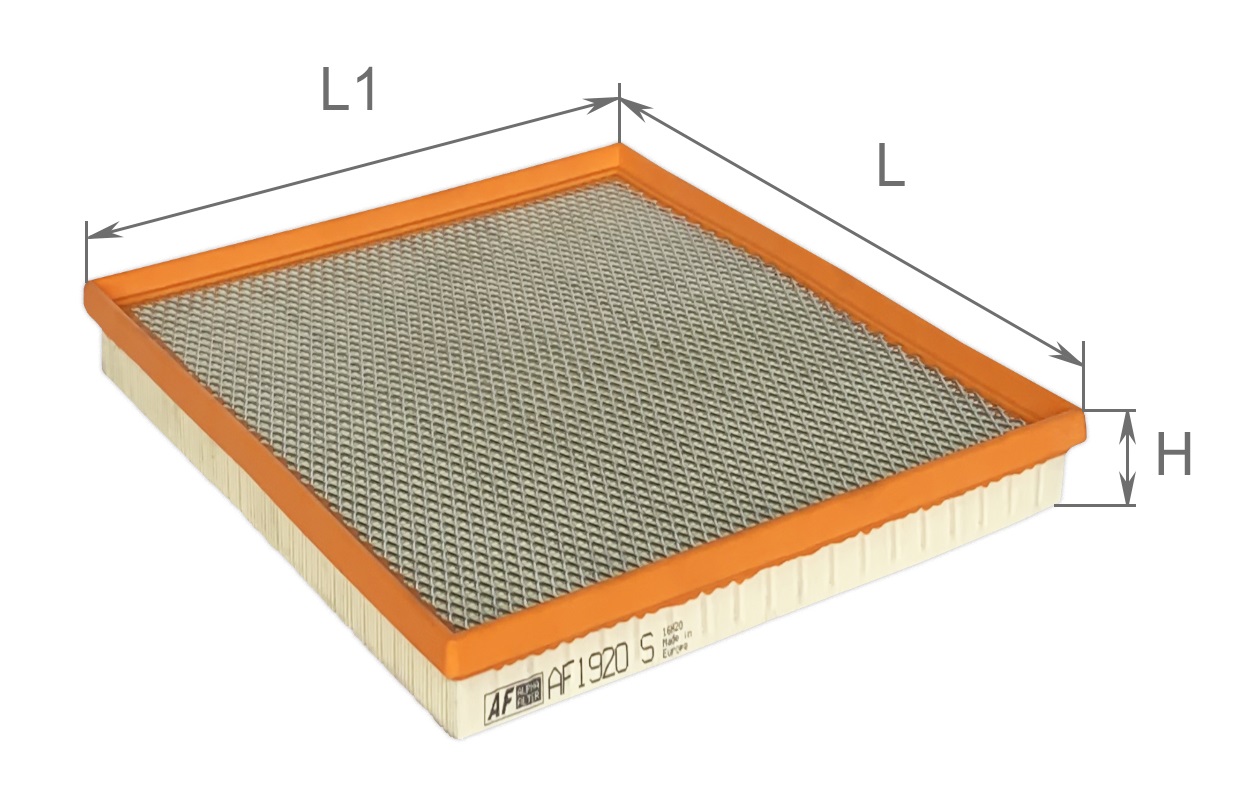 Елемент фільтруючий повітряний, модель AF1920s ТМ 