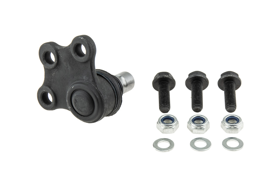 NTY SWORZEŃ WAHACZA